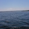 Marsala_2012 (233)